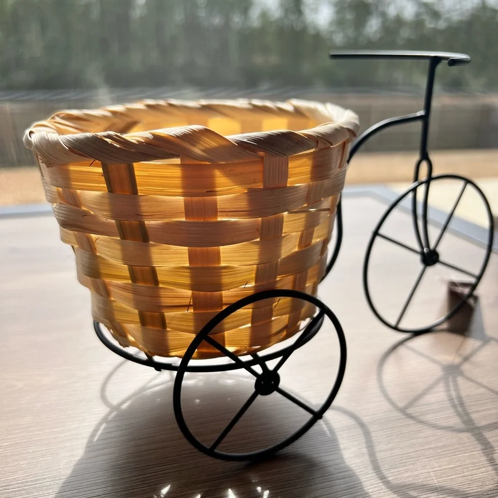 Target Tricycle Woven Basket Planter